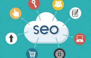 seo-specialized-training
